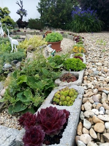 Molnár Anna kertje 05